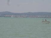 Balaton Balaton